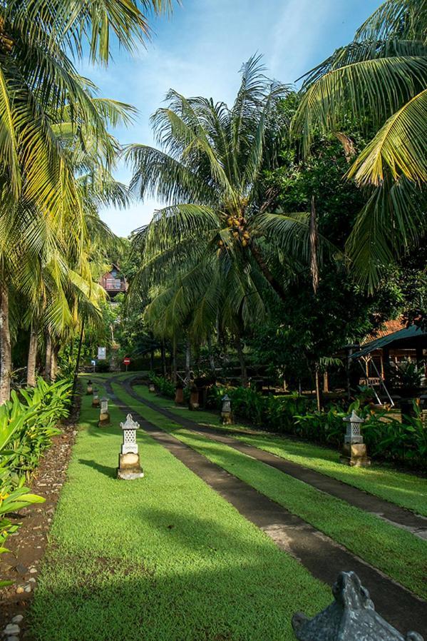 Homestay Bella Vista Premium *