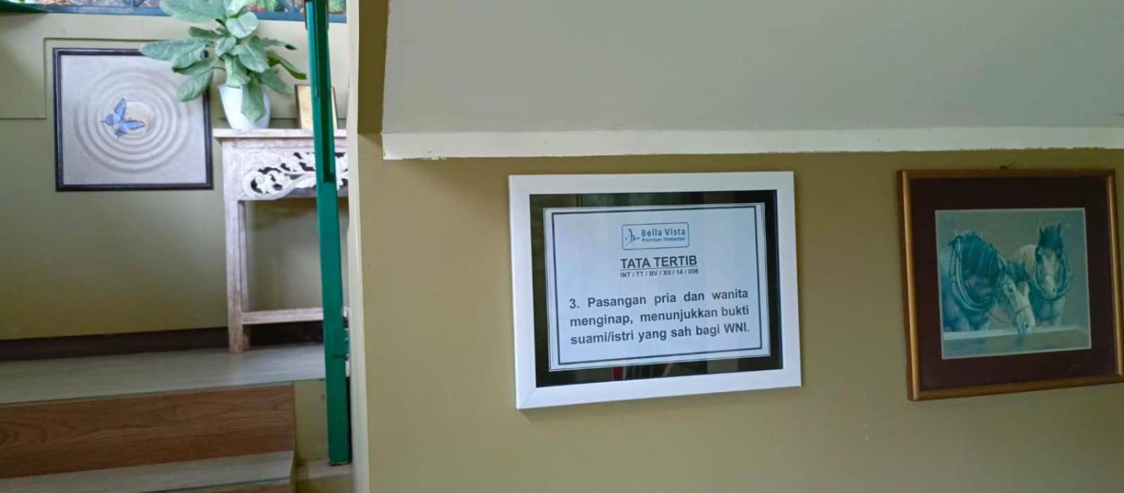 Bella Vista Premium